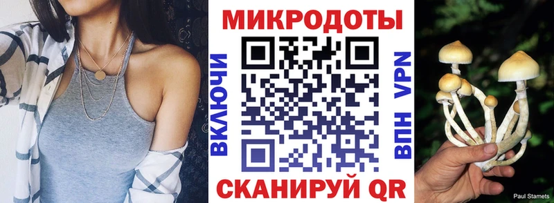 Псилоцибиновые грибы Cubensis  как найти закладки  Жуков 