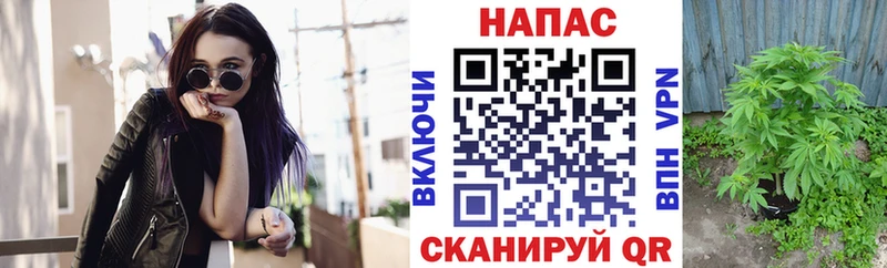 Шишки марихуана Ganja Жуков